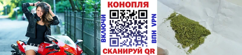 Где купить наркоту Онега Cocaine  Меф мяу мяу  ГАШИШ  Галлюциногенные грибы  МАРИХУАНА 