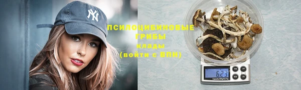 Альфа ПВП Надым