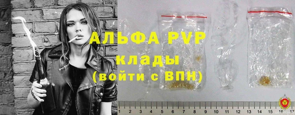 индика Михайловка